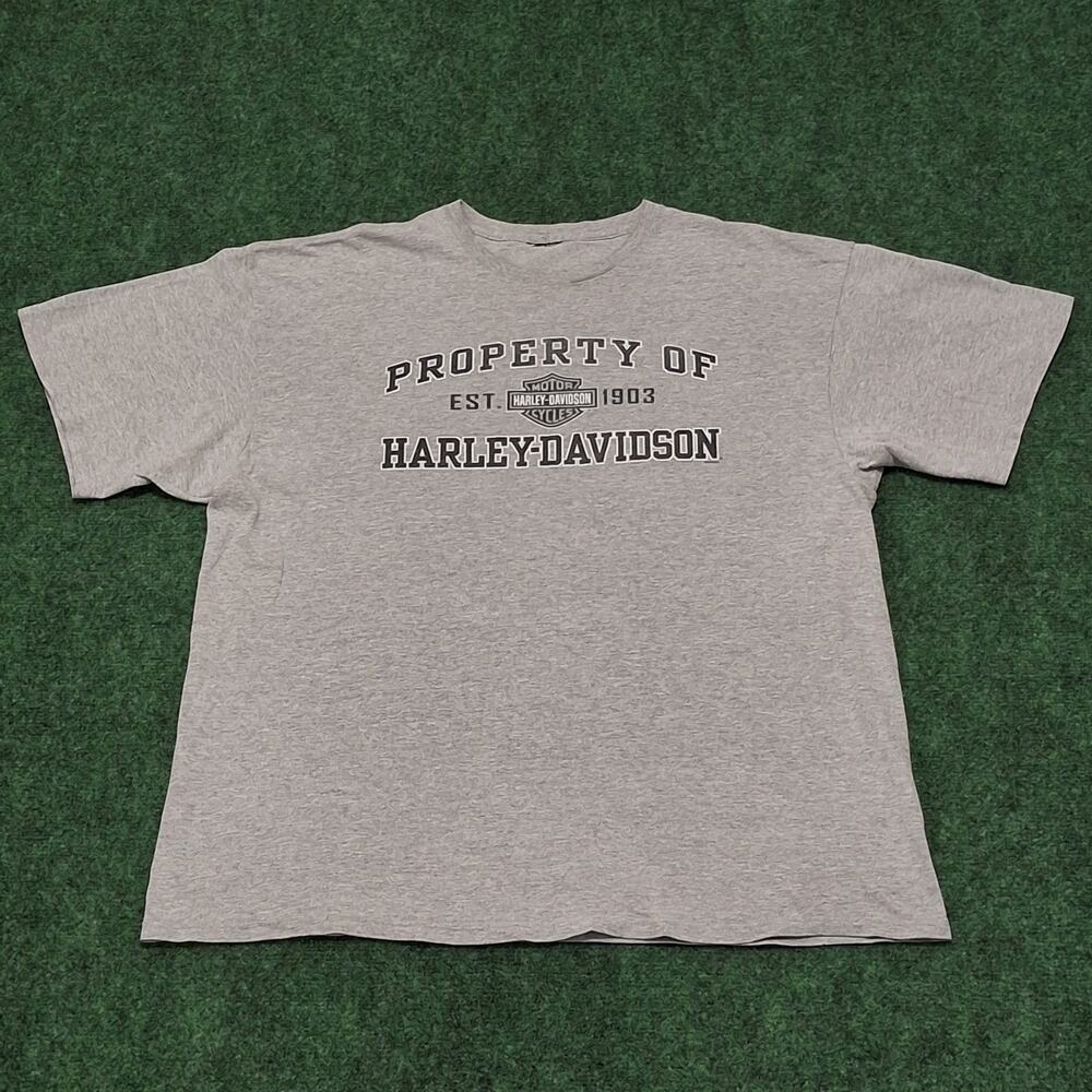 Harley Davidson T-Shirt Men’s Gray ANDY'S GRAND FORKS ND Doble Side